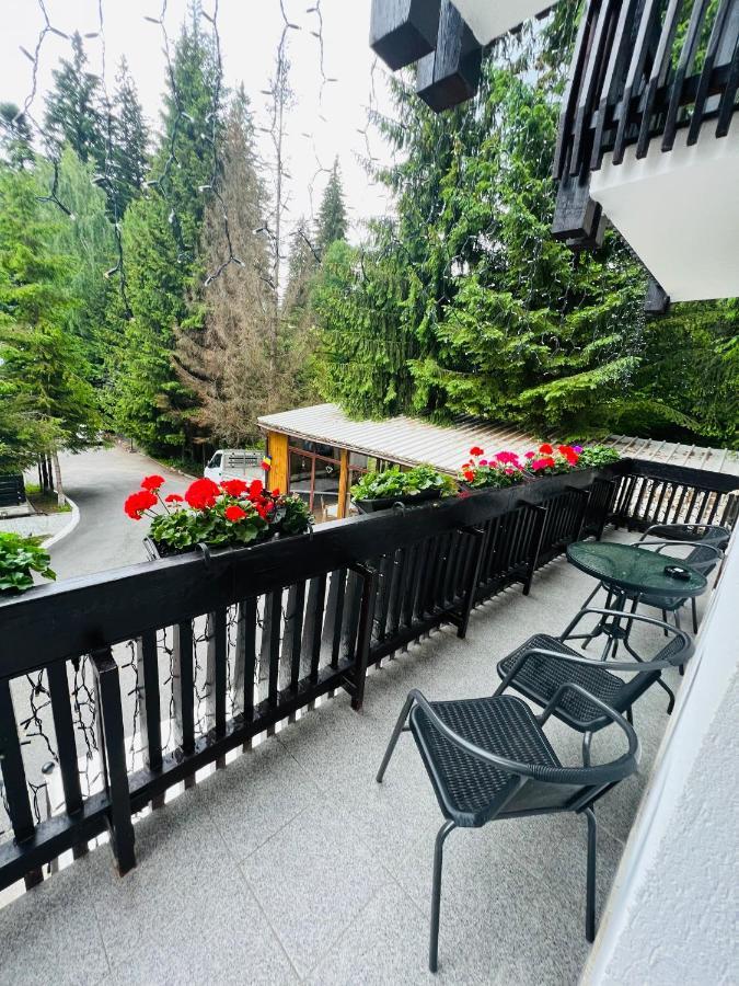 Cabana Din Poienita Poiana Brasov Eksteriør bilde