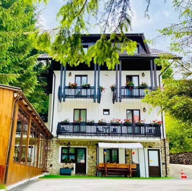 Cabana Din Poienita Poiana Brasov Eksteriør bilde